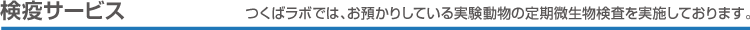 検疫サービス