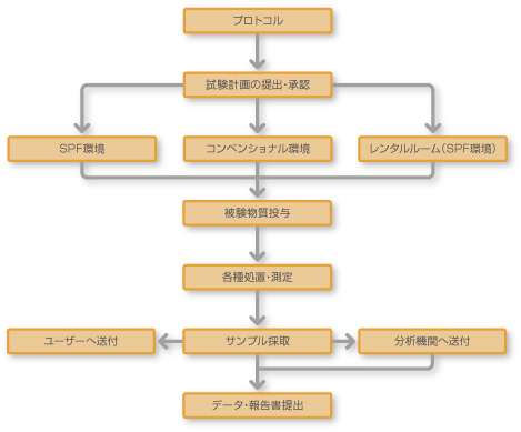 フローチャート